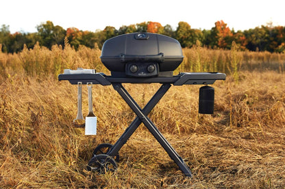 Napoleon Phantom TRAVELQ PRO285X, mit klappbarem Wagen Gasgrill